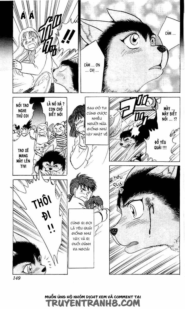 wild half chapter 6 5