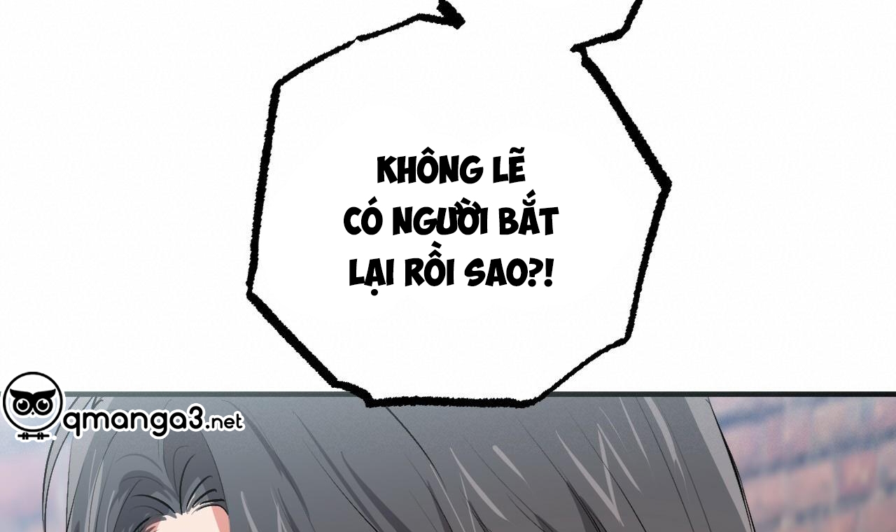 đàn thỏ của habibi chapter 50 68