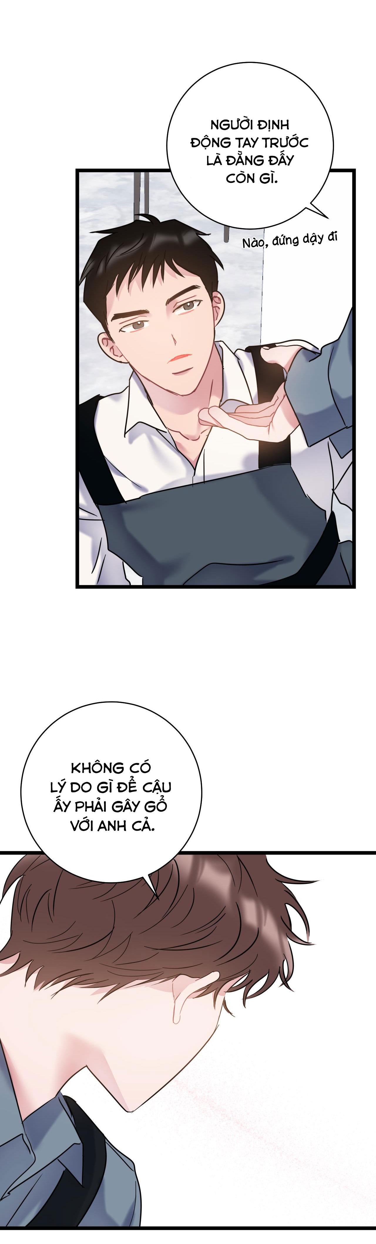 tình yêu bình dị nhất chapter 21 13