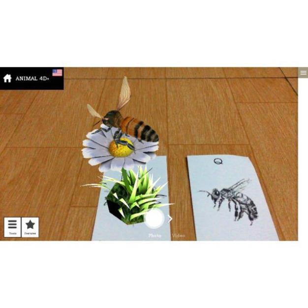BỘ THẺ HỌC 4D BÌA CỨNG h12 89