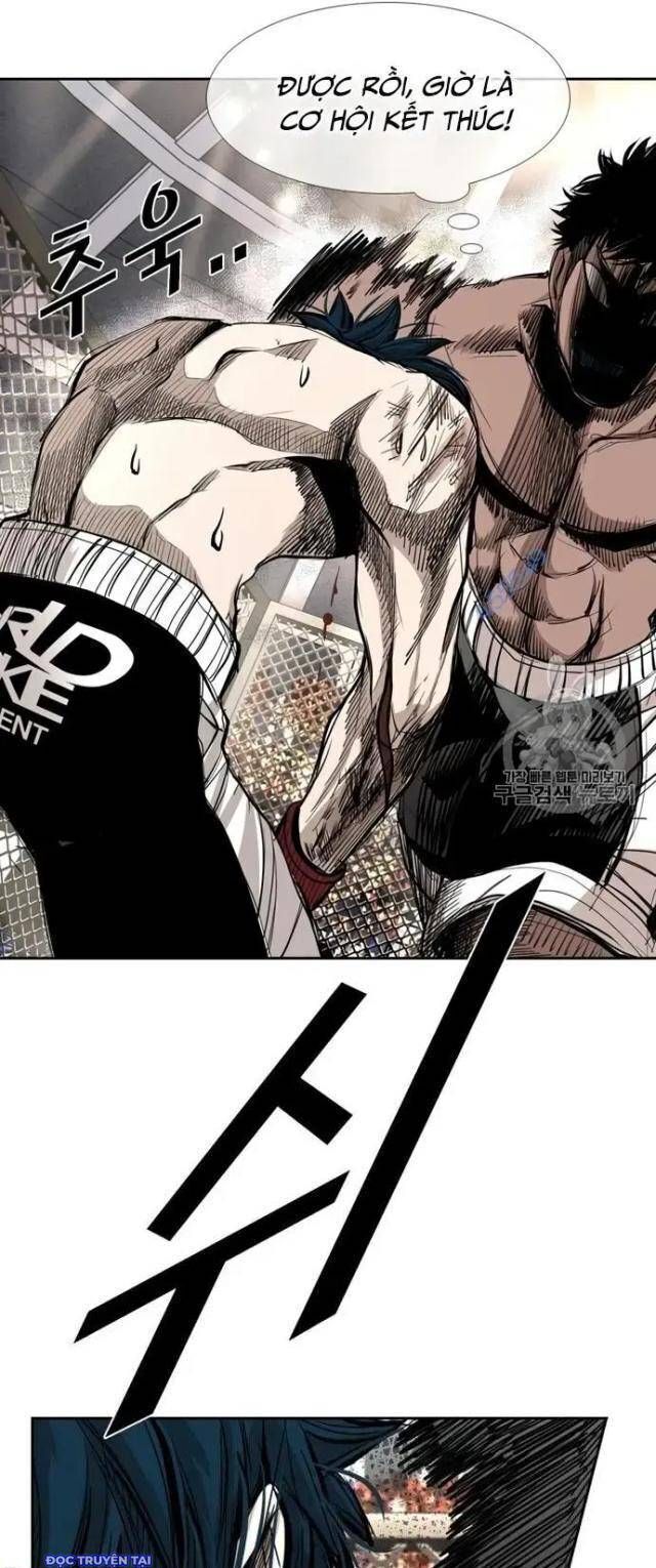 shark - cá mập chapter 161 42
