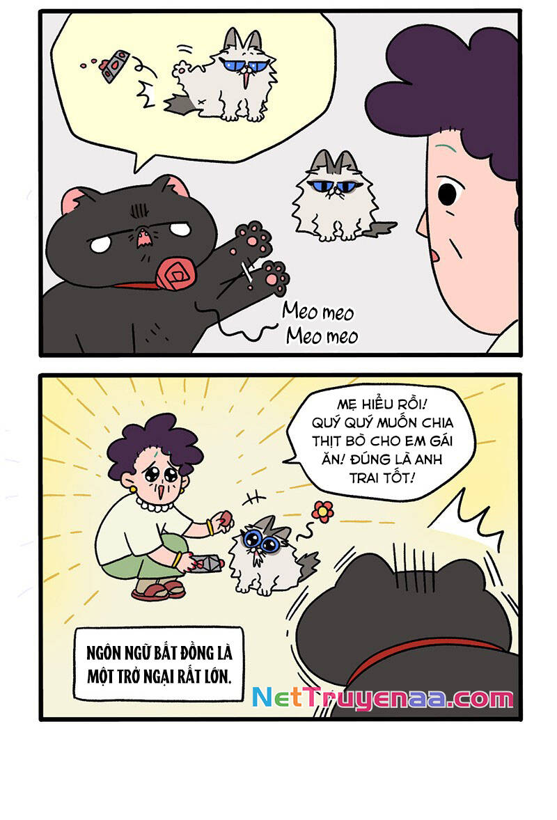 a mãn và mạch trà chapter 31 4