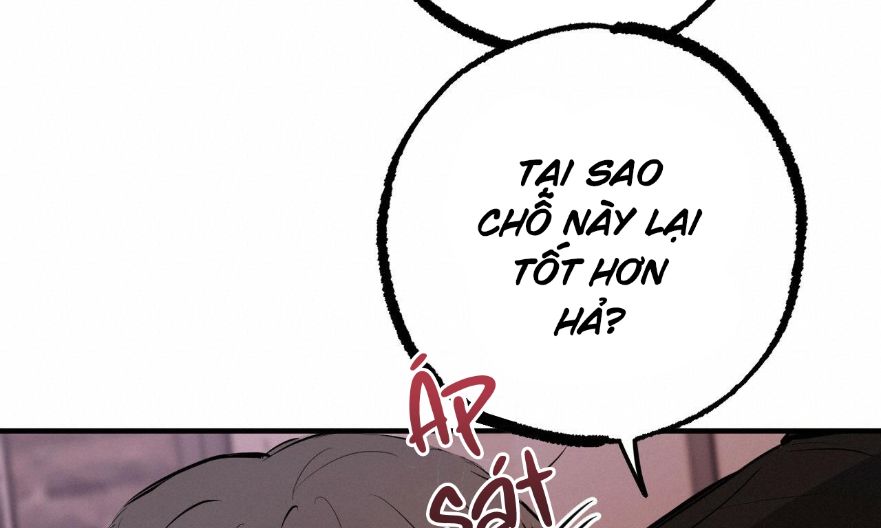 những chú thỏ của hapypy chapter 51 254