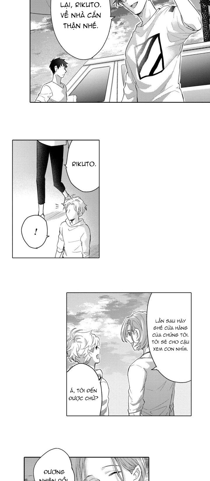 hiyoko-chan to harinezumi-kun chapter 6 19