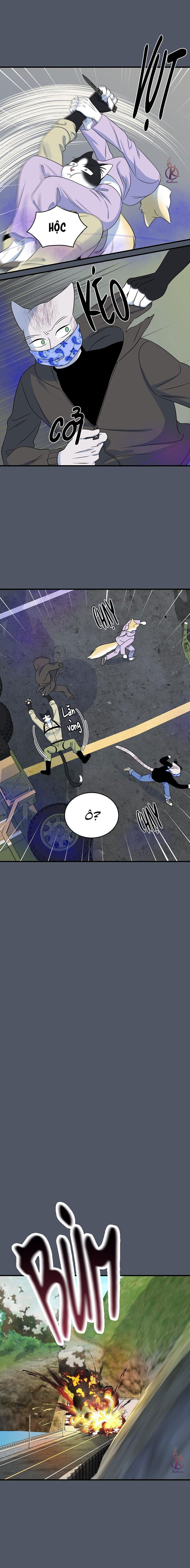 dự án xanh chapter 44 17