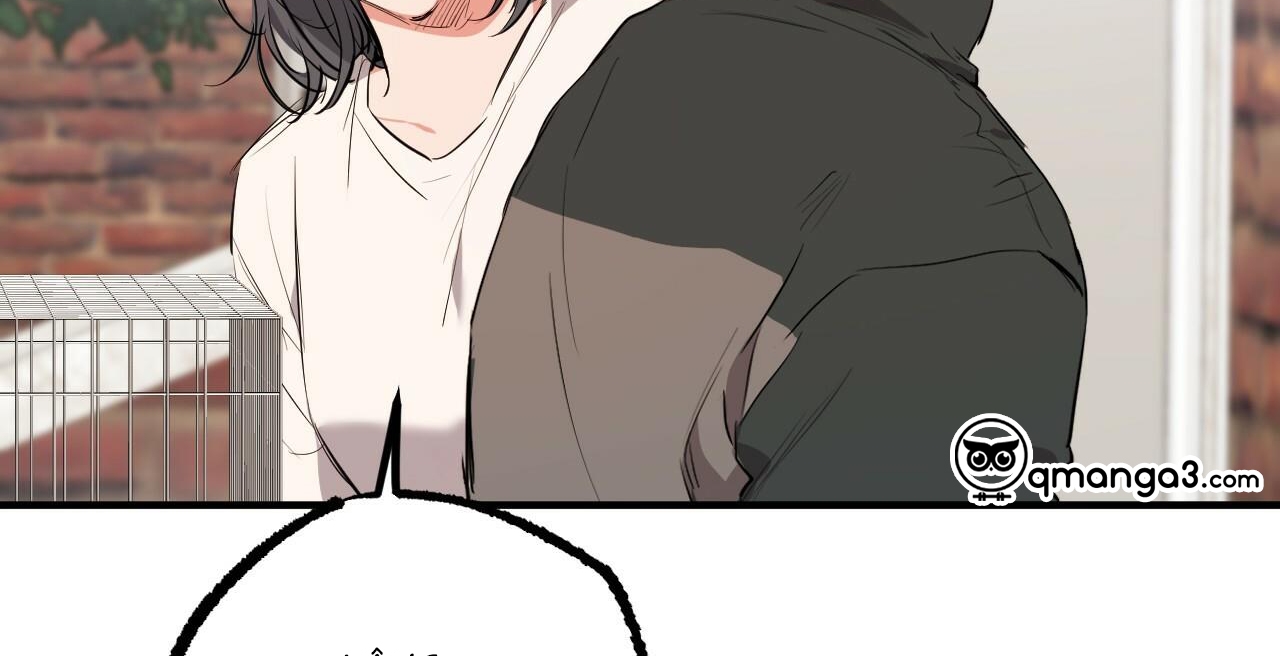 đàn thỏ của habibi chapter 36 112