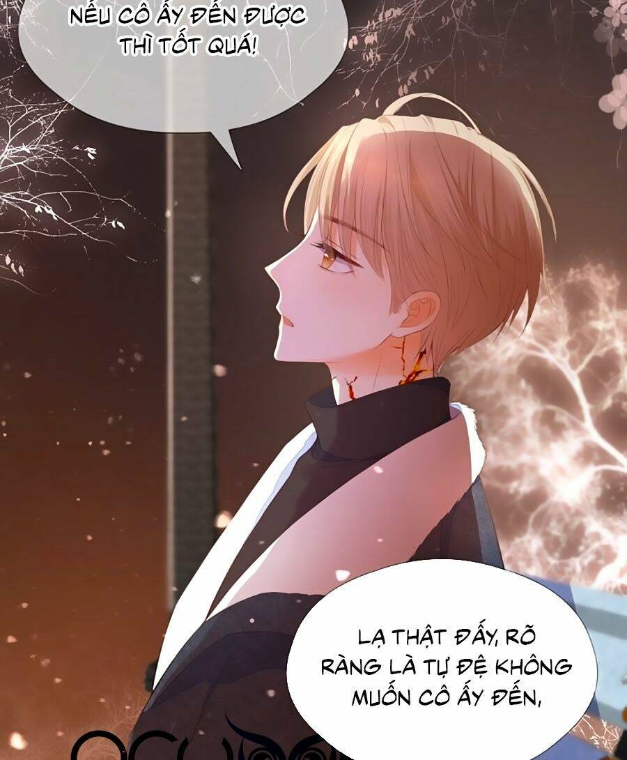 đóa hoa chớm nở chapter 74 5