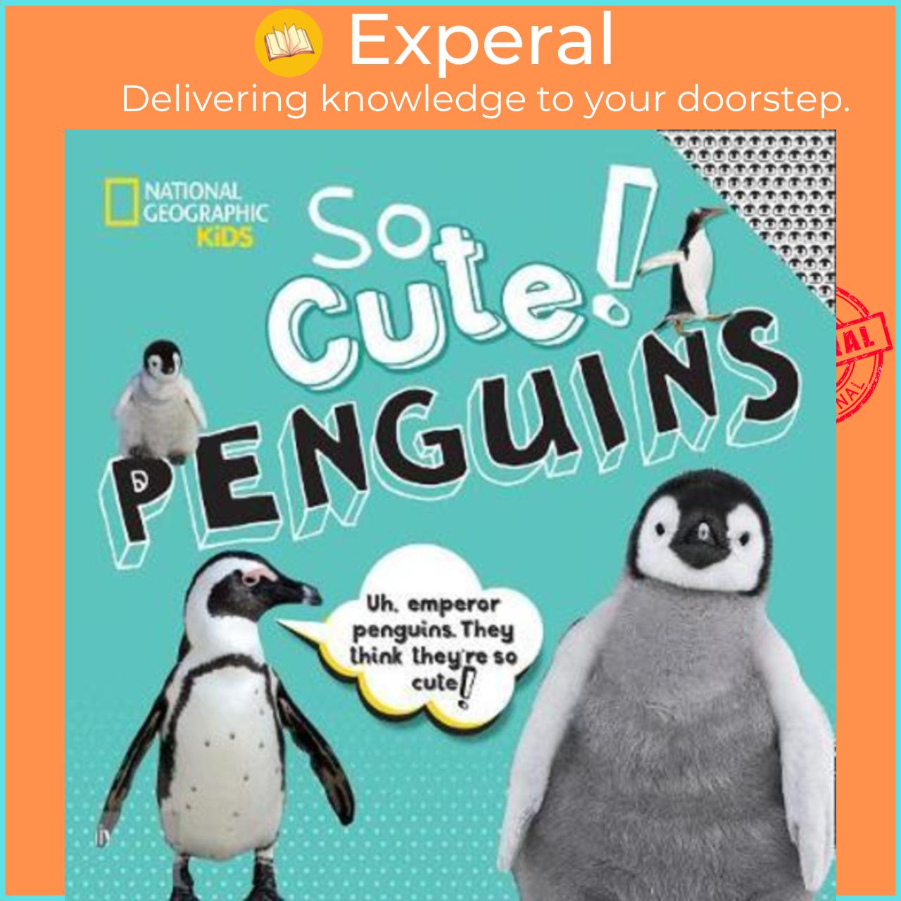 Sách - So Cute: Penguins by National Geographic Kids