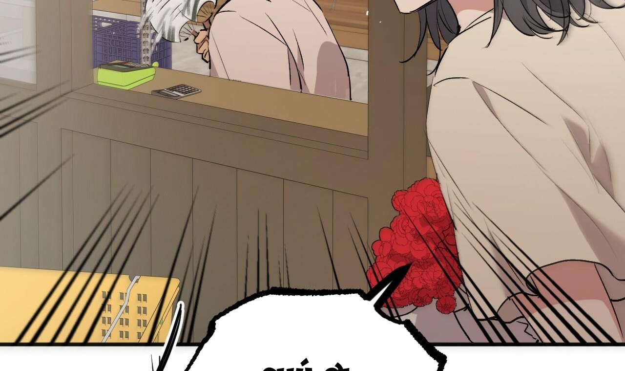 đàn thỏ của habibi chapter 45 227