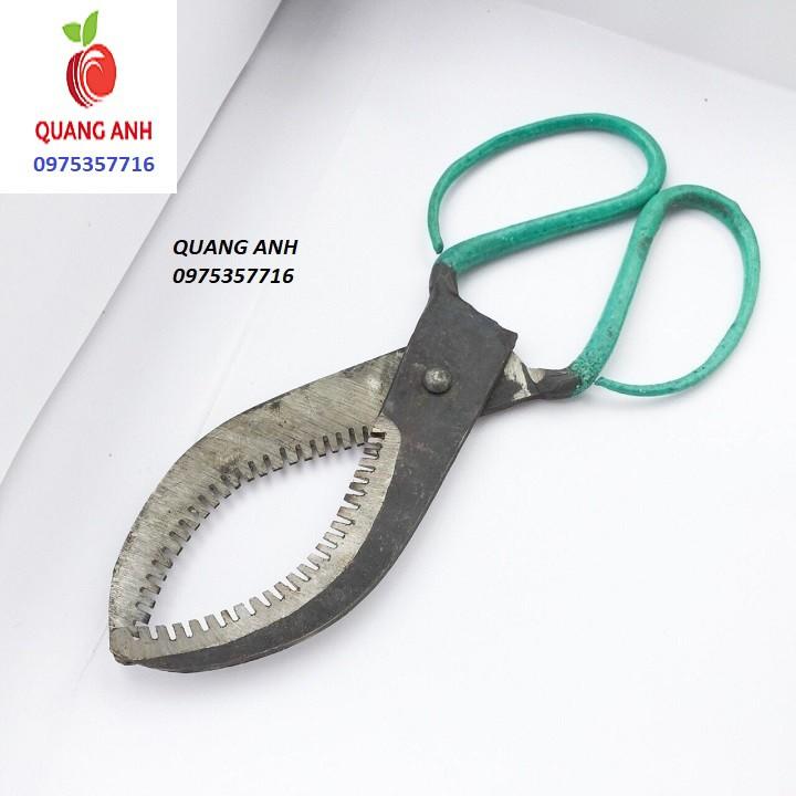 KÉO KHOANH CÀNH CÂY ĂN QUẢ