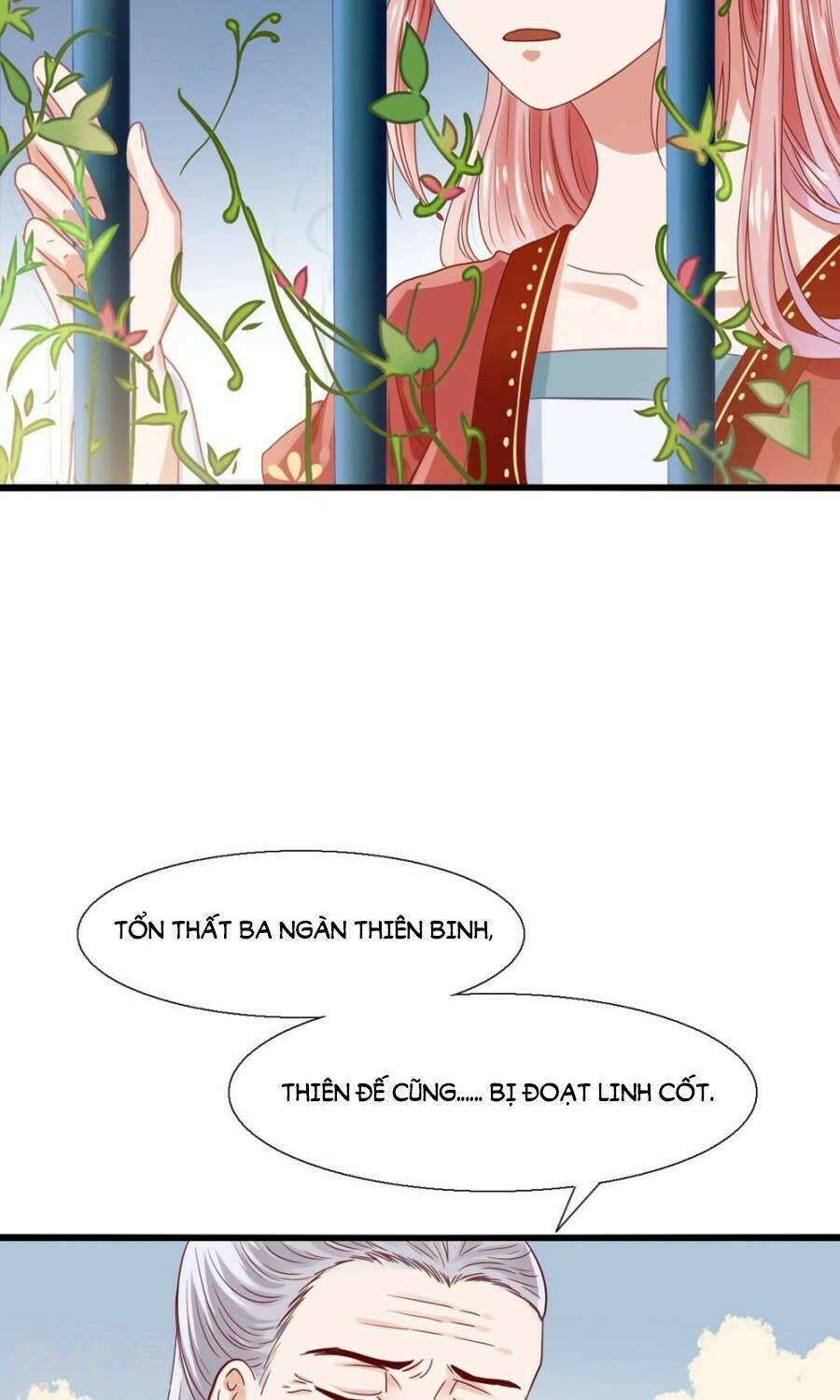 tôi bị gấu trúc nhìn trúng rồi chapter 2 5