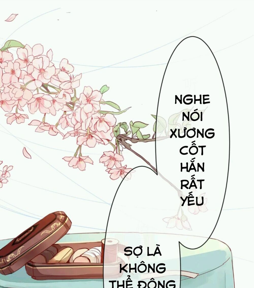 chỉ phu vi thê chapter 1 12