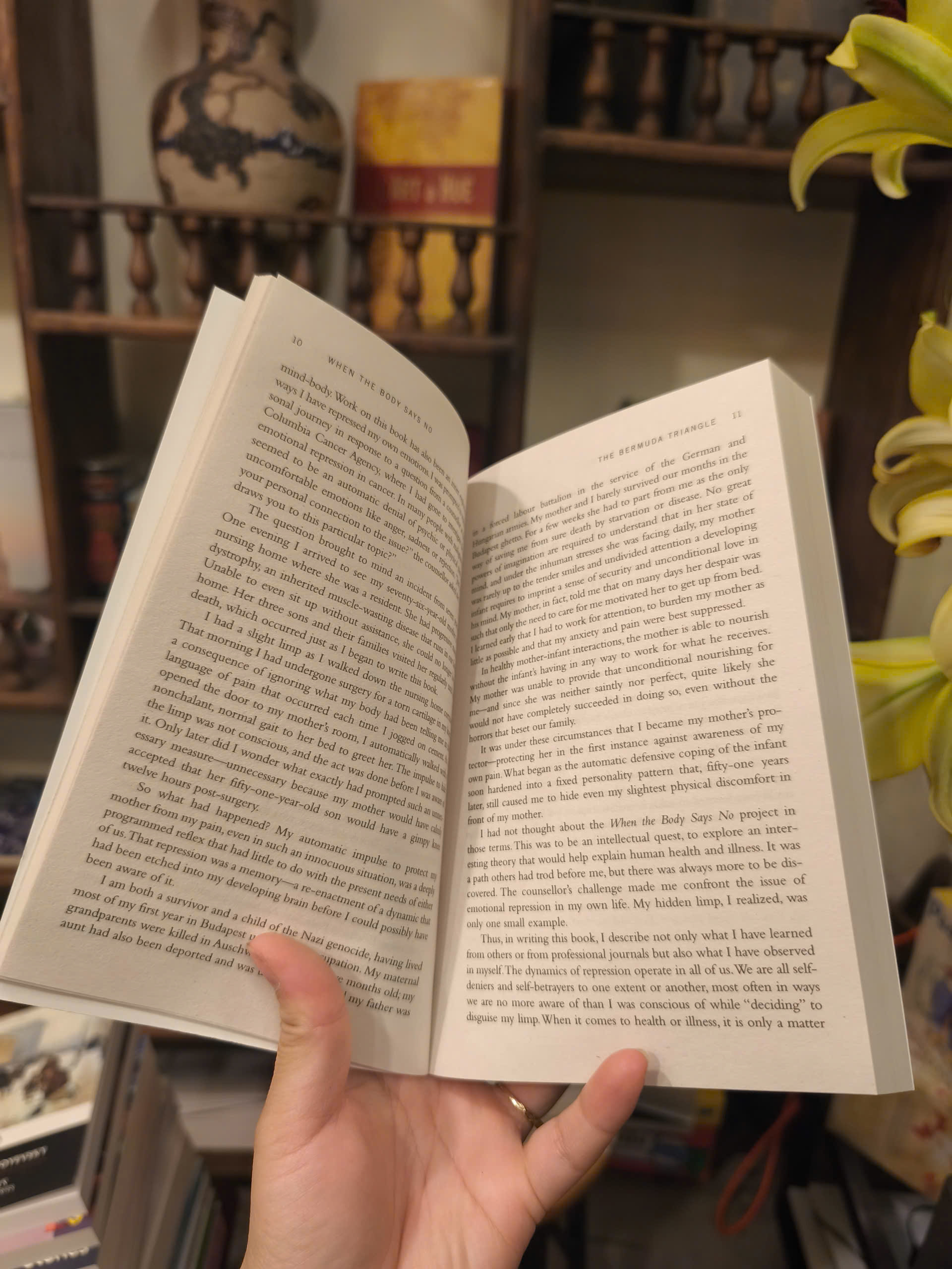 Sách - When the Body Says No by Gabor Maté | Psychology / Nonfiction / Ngoại văn / Tâm lý học