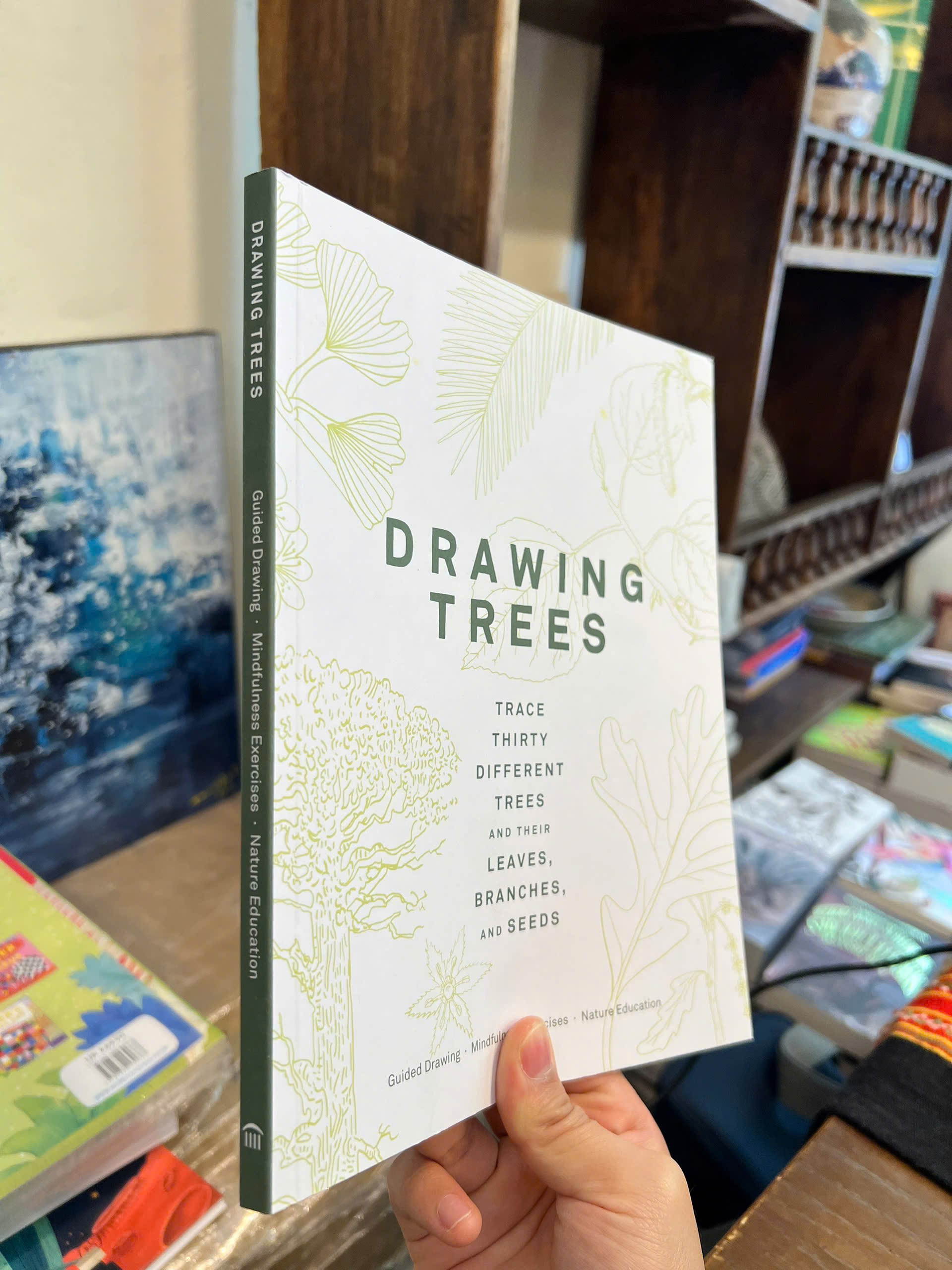 Sách - Drawing Trees: Trace 30 Different Trees &amp; Their Leaves, Branches, &amp; Seeds | Art / Ngoại văn