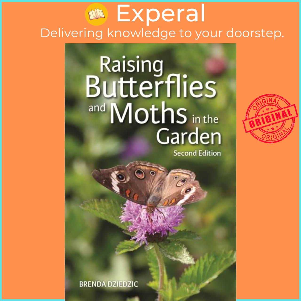 Sách - Raising Butterflies and Moths in the Garden by Brenda Dziedzic (UK edition, paperback)