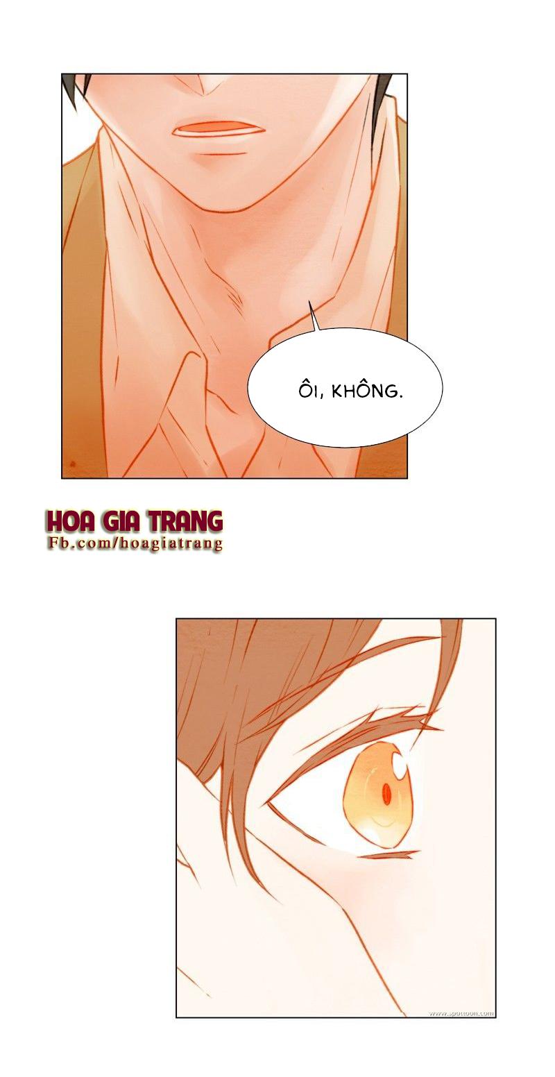 sao chép chapter 29 31