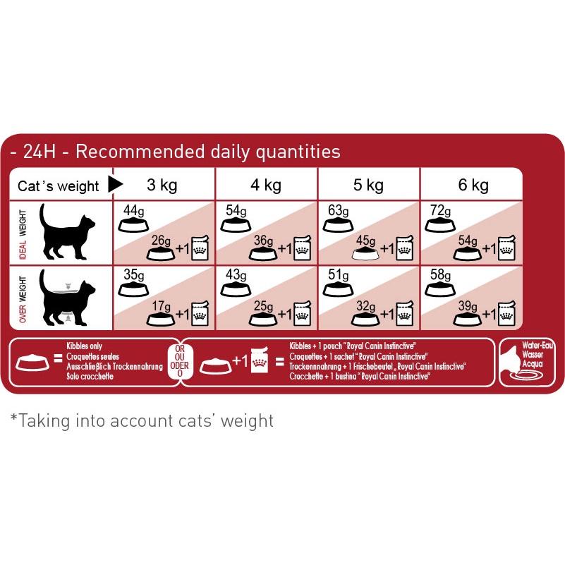 Thức ăn hạt cho mèo - ROYAL CANIN FIT32 Thức ăn cho mèo trưởng thành