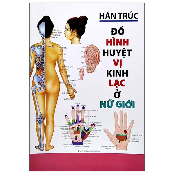 Đồ Hình Huyệt Vị Kinh Lạc Ở Nữ Giới (Tái Bản 2023)