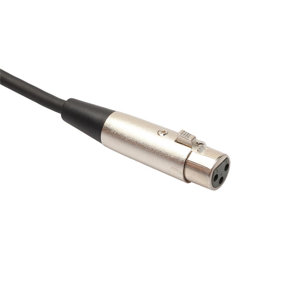 XLR Male To Female Microphone Cable  - 6 Feet