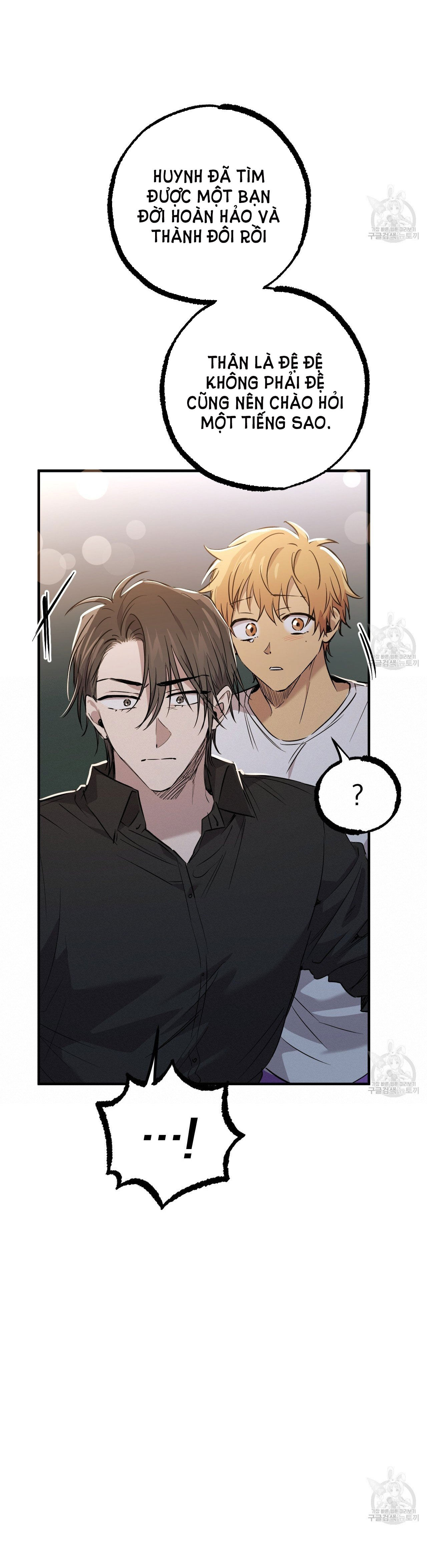 những chú thỏ của hapypy chapter 59.2 10