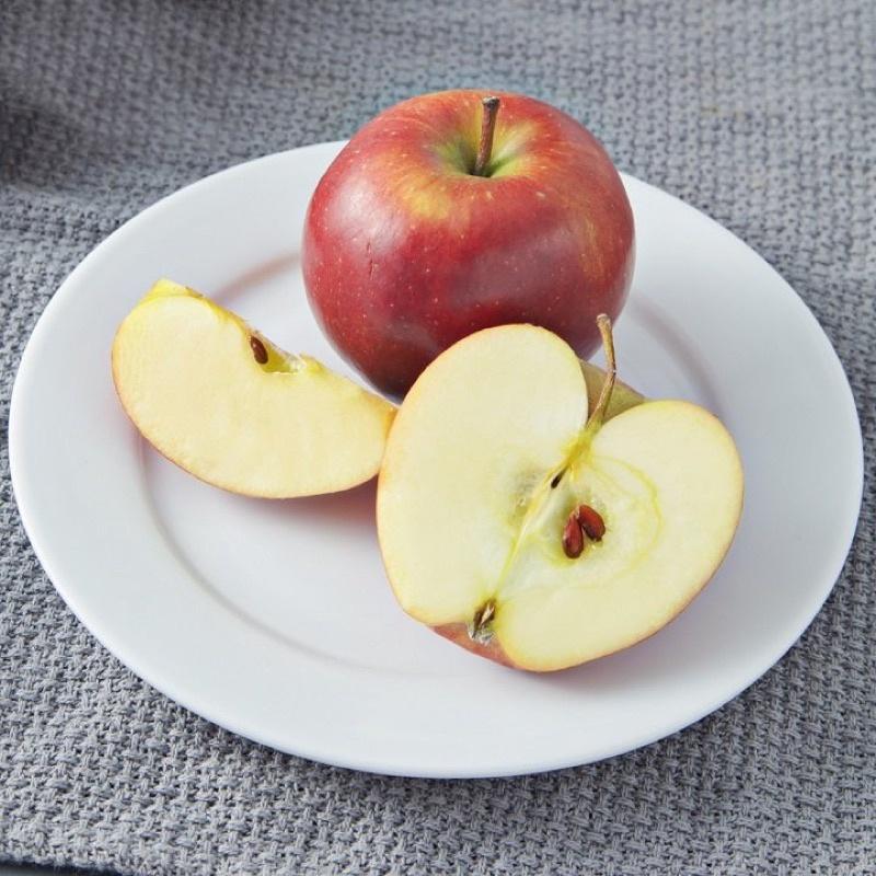 Đĩa Nông 27cm Sứ Trắng OHIO