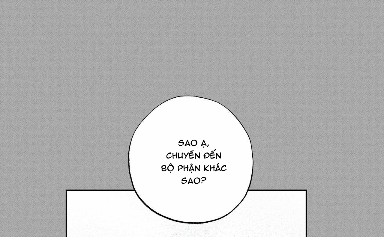 chàng giao pizza và gold palace chapter 35 11