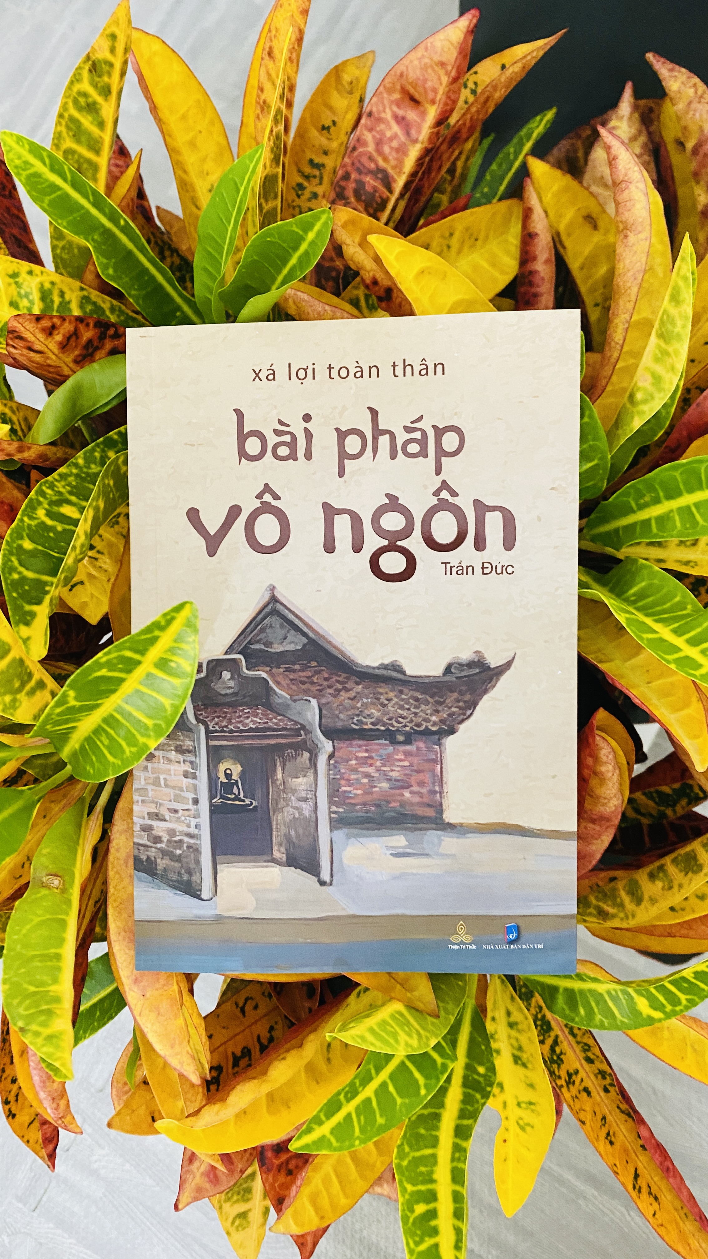 Xá Lợi Toàn Thân - Bài Pháp Vô Ngôn