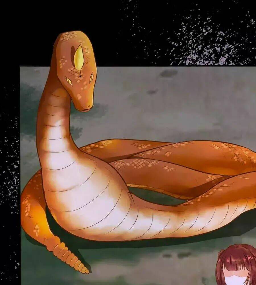 thần y khí nữ: ngự thú cuồng phi của quỷ đế chapter 69 87