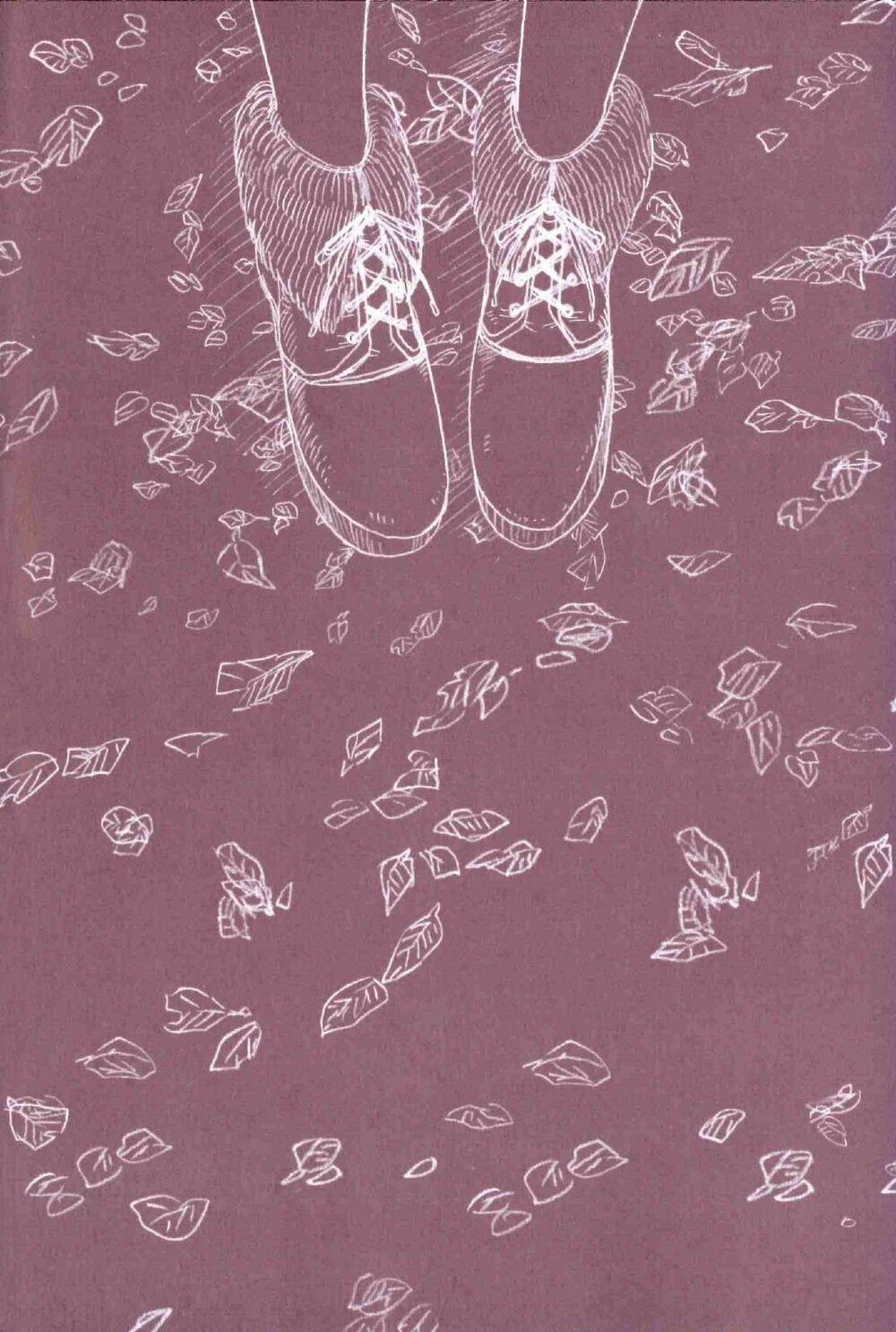 5 centimeters per second (5cm/s) chapter 6 4