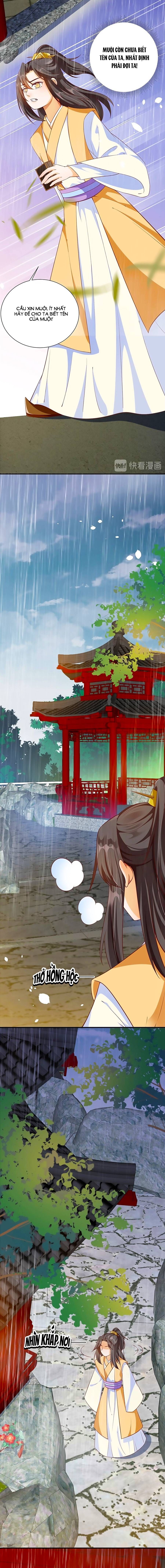 thịnh thế lê hoa điện chapter 56 6