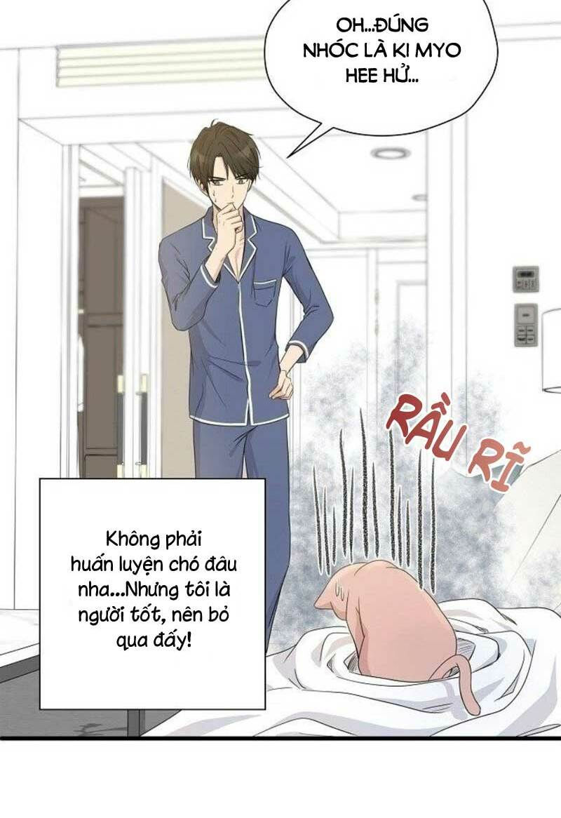 cuộc sống kỳ thú chapter 2 40