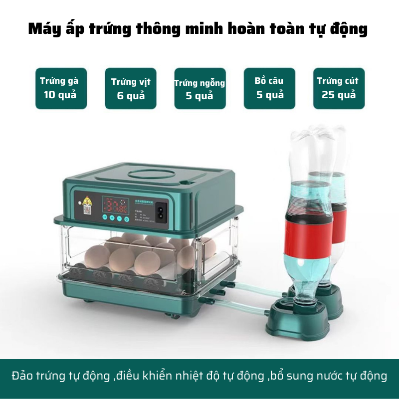 Máy ấp trứng mini thông minh Hàng chính hãng tự đảo thay nước MAT-09