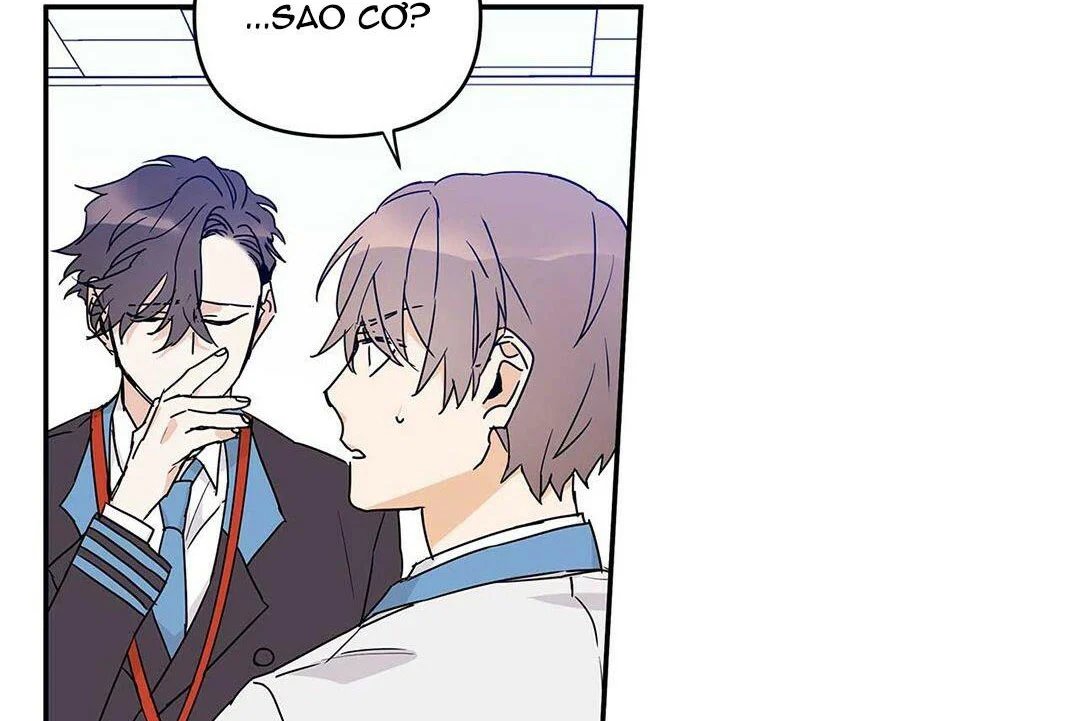 guide cấp b chapter 10 65