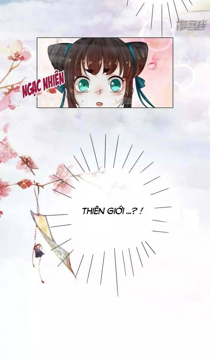 tam sinh bỉ ngạn hoa chapter 2 6