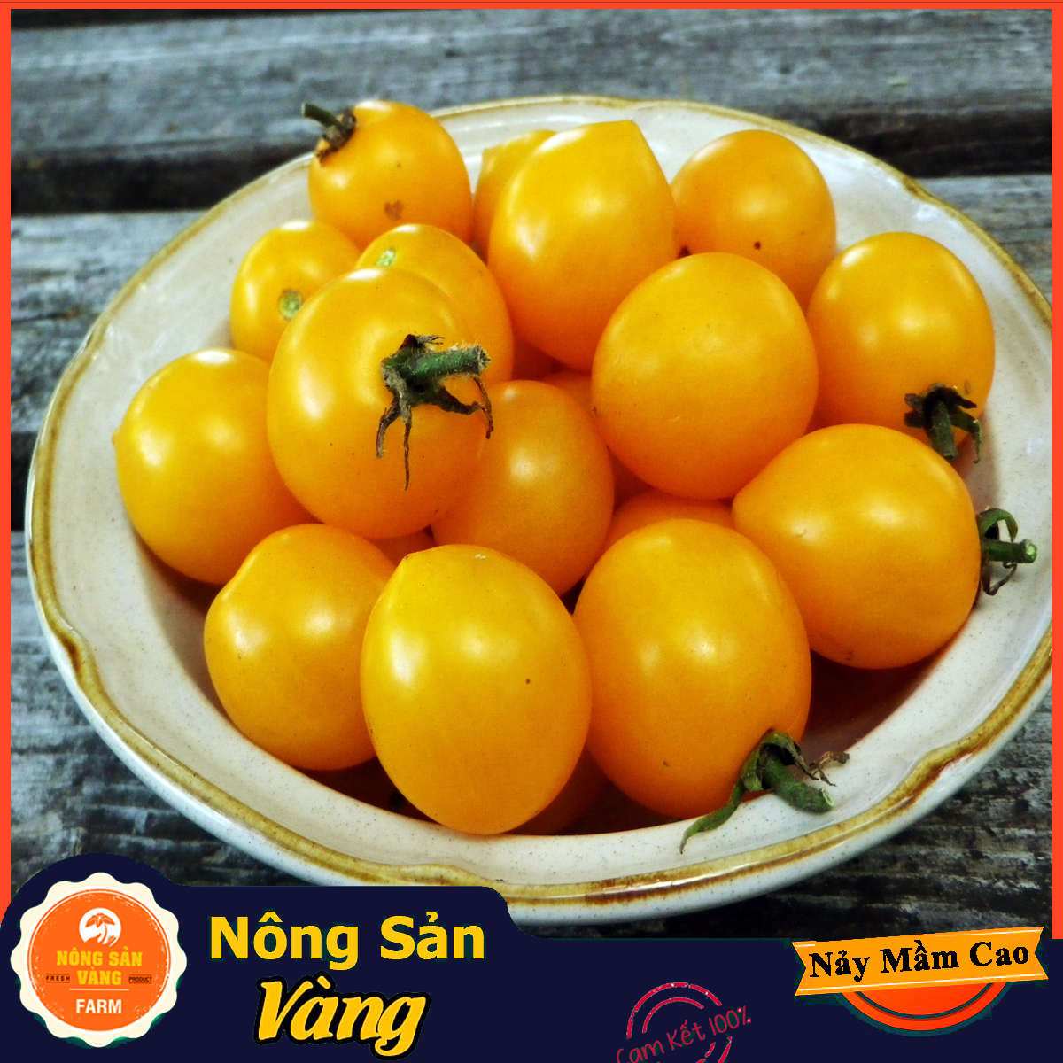 Hạt giống Cà Chua Bi Vàng Lùn - Nông Sản Vàng