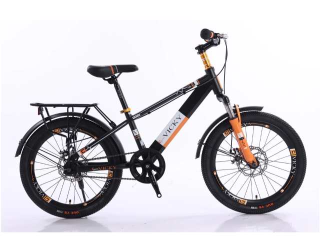 Xe đạp địa hình trẻ em cỡ bánh 20 Vicky VIC120 - Hàng chính hãng