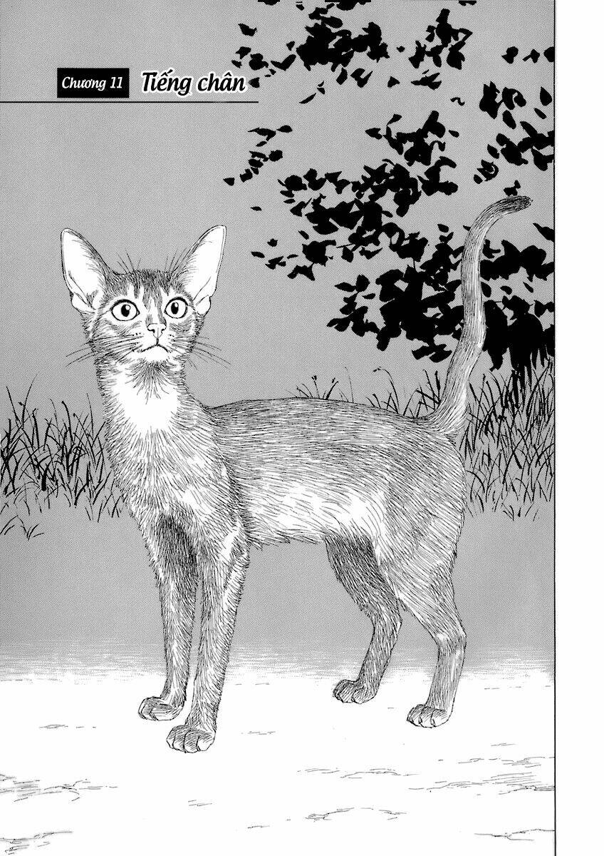 thư ký của alexandros đại đế chapter 11 2