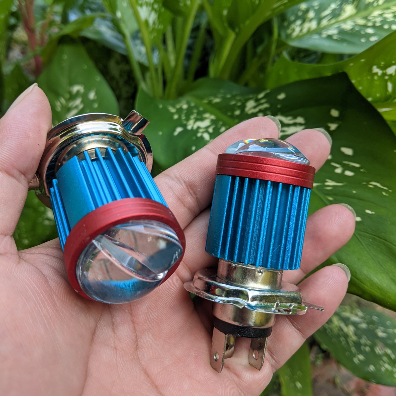 Đèn pha xe máy led bi cầu Z02 cốt vàng pha trắng hàng cao câp