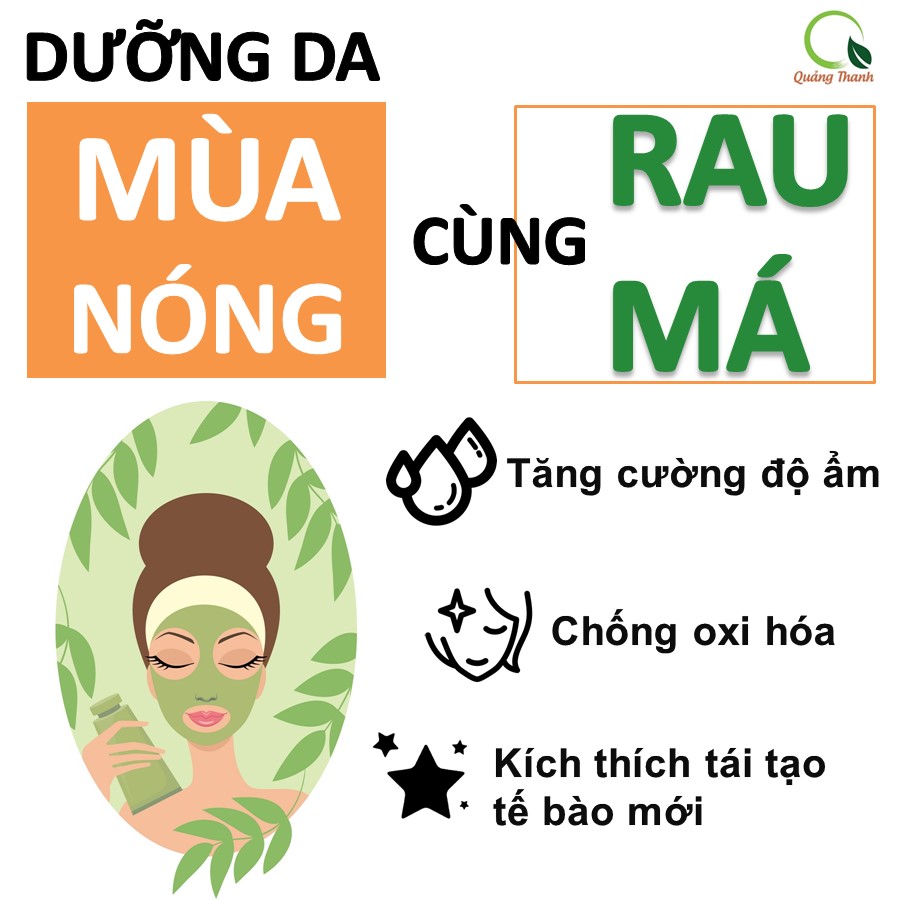 Bột rau má sấy lạnh Quảng Thanh, bịch 50gr - Giải độc, mát gan, thanh nhiệt cơ thể, giảm mụn, đẹp da