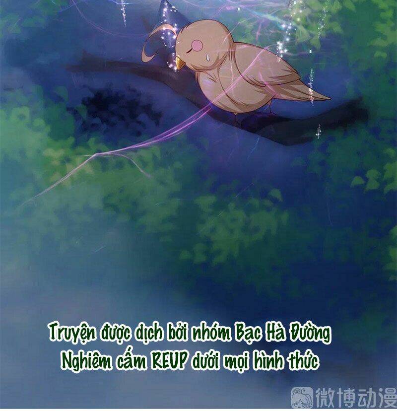 nam thần truy thê chỉ nam chapter 107.2 6