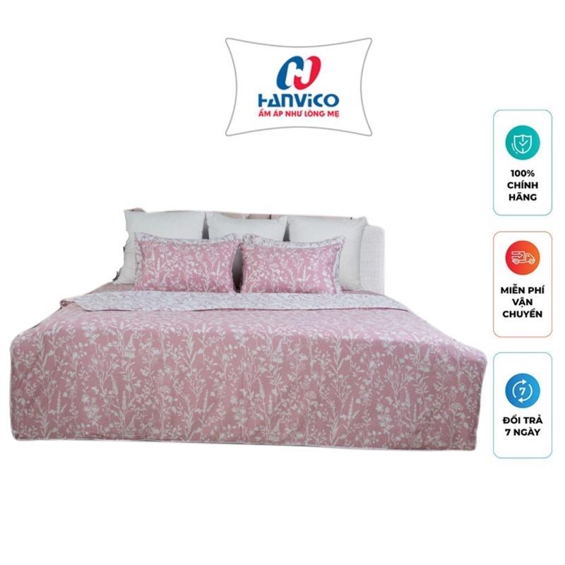 Bộ ga chun Hanvico Living LV36