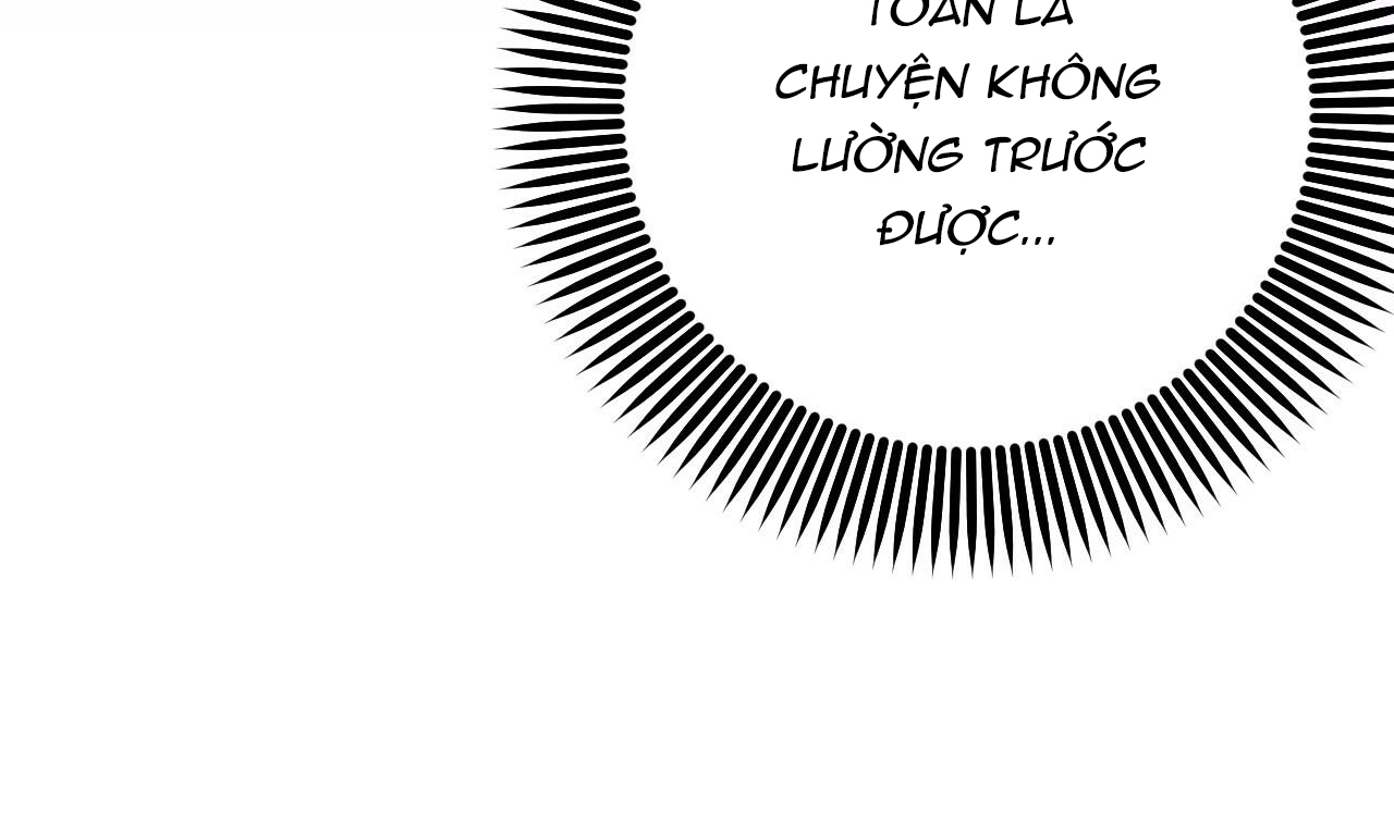 những chú thỏ của hapypy chapter 49 36