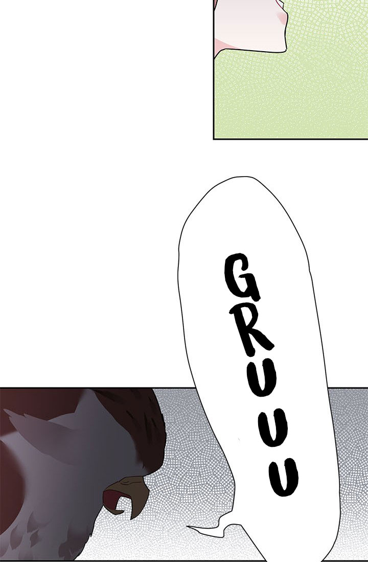 công chúa của loài chim chapter 8 69