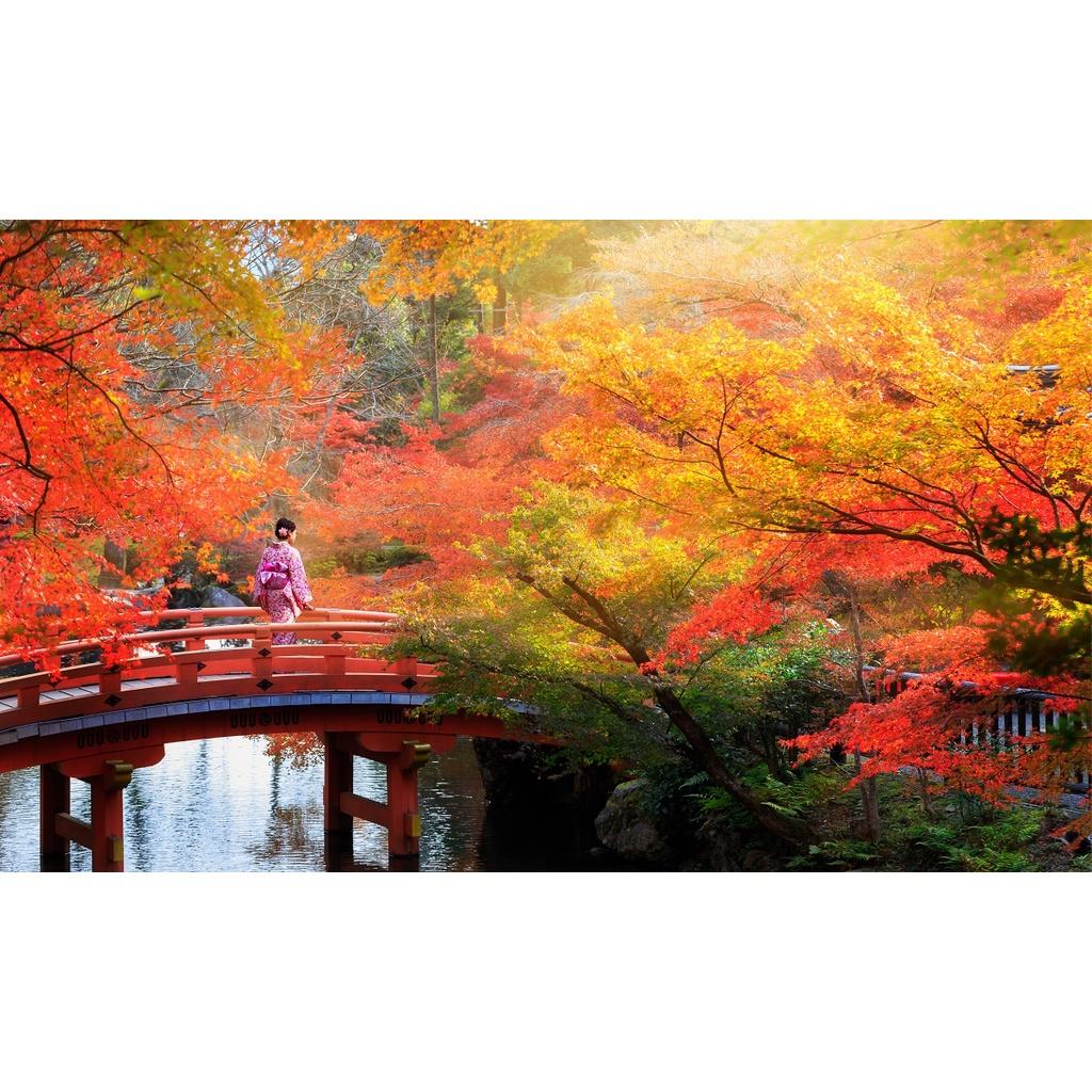 Xếp hình 1500 mảnh-Kyoto vào thu