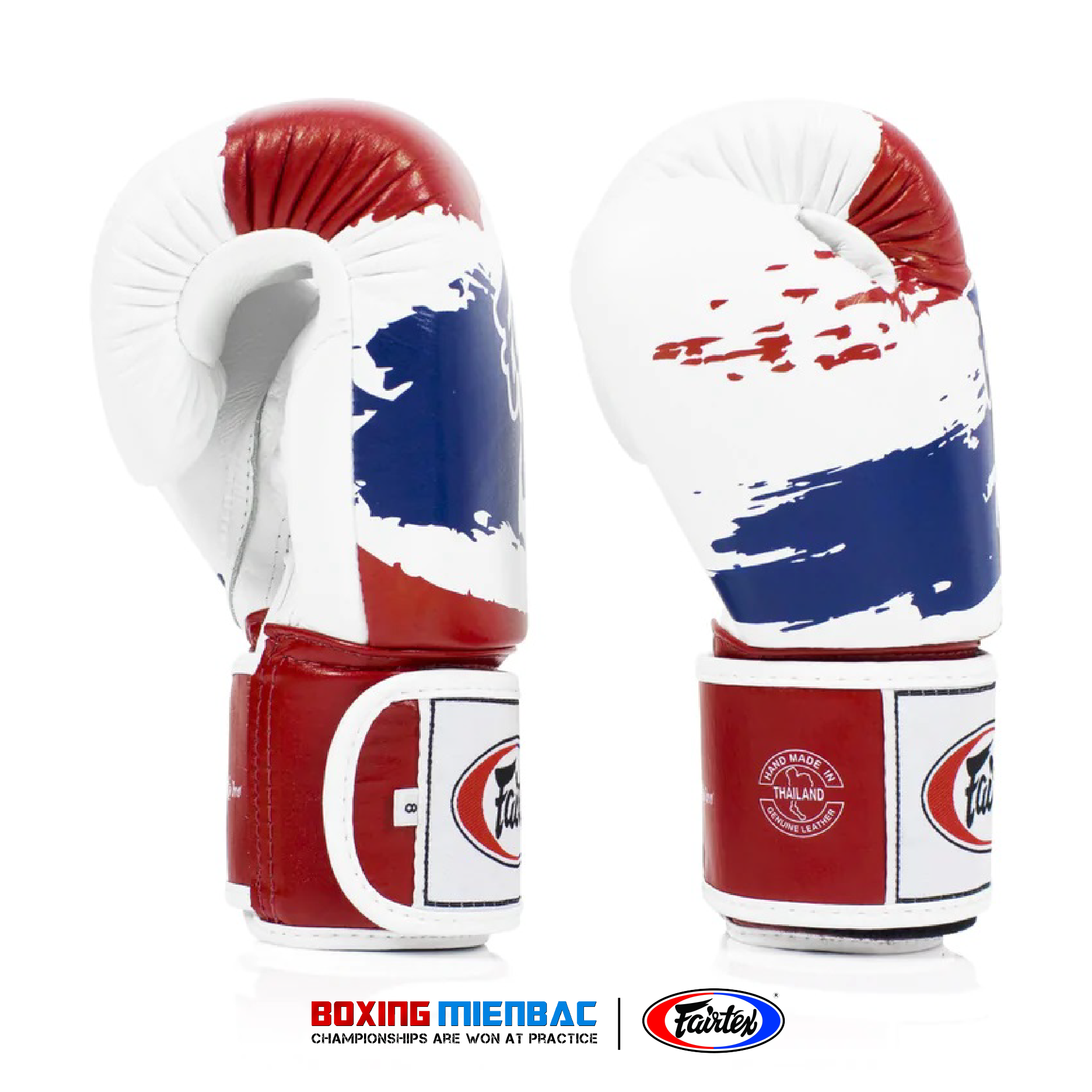 Găng Tay Boxing/ Muay Fairtex Thai Pride