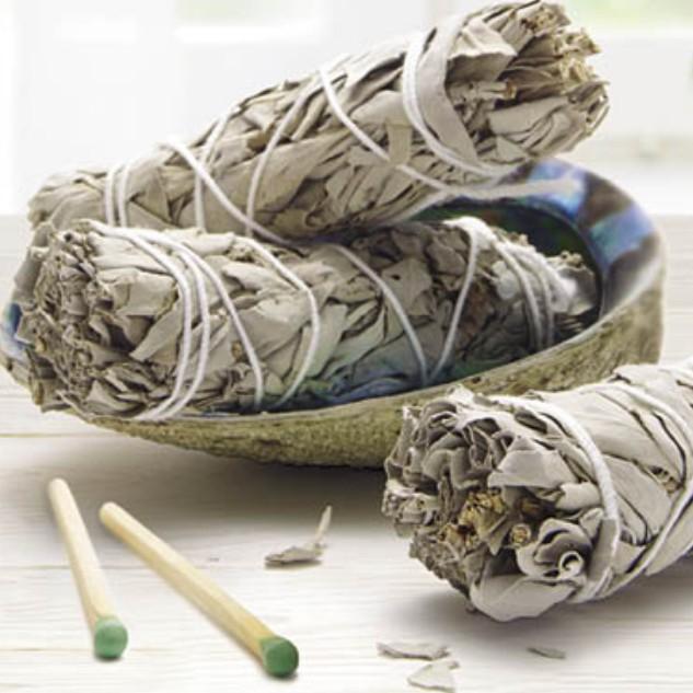 Xô Thơm (White Sage) Thanh Tẩy Không Gian & Làm Sạch Nhà Cửa l XÔ THƠM THANH TẨY