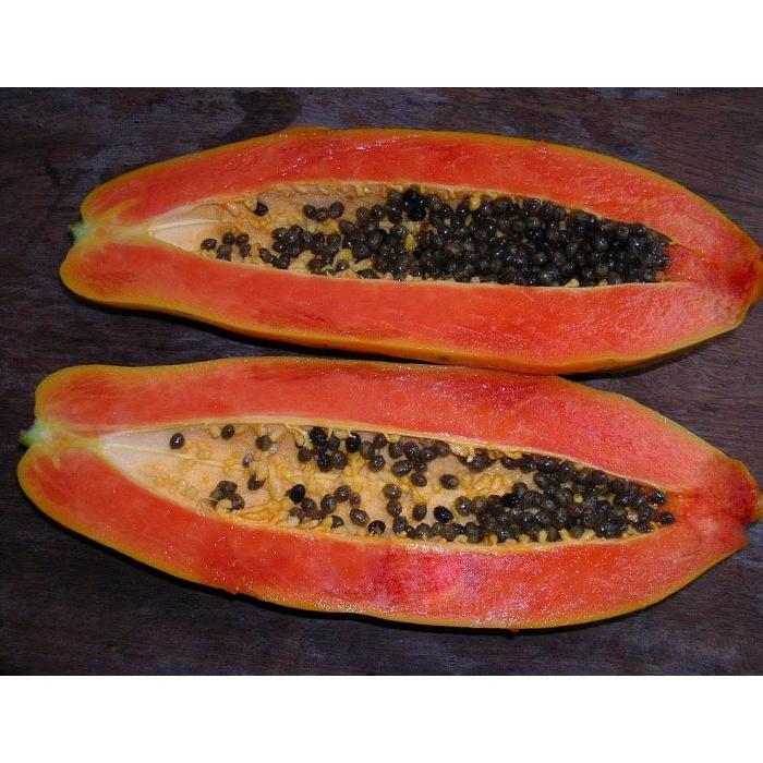 Hạt Giống Đu Đủ Siêu Dài Phuket Thái CT332- Gói 5 gram