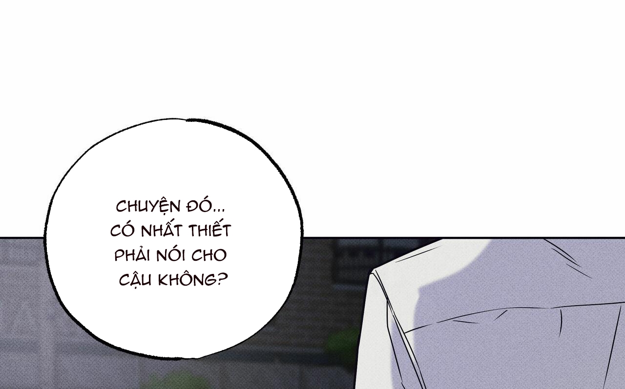 chàng giao pizza và gold palace chapter 22 5