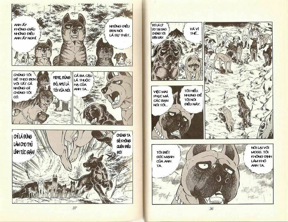 chú chó có nghĩa - ginga nagareboshi gin chapter 13 14