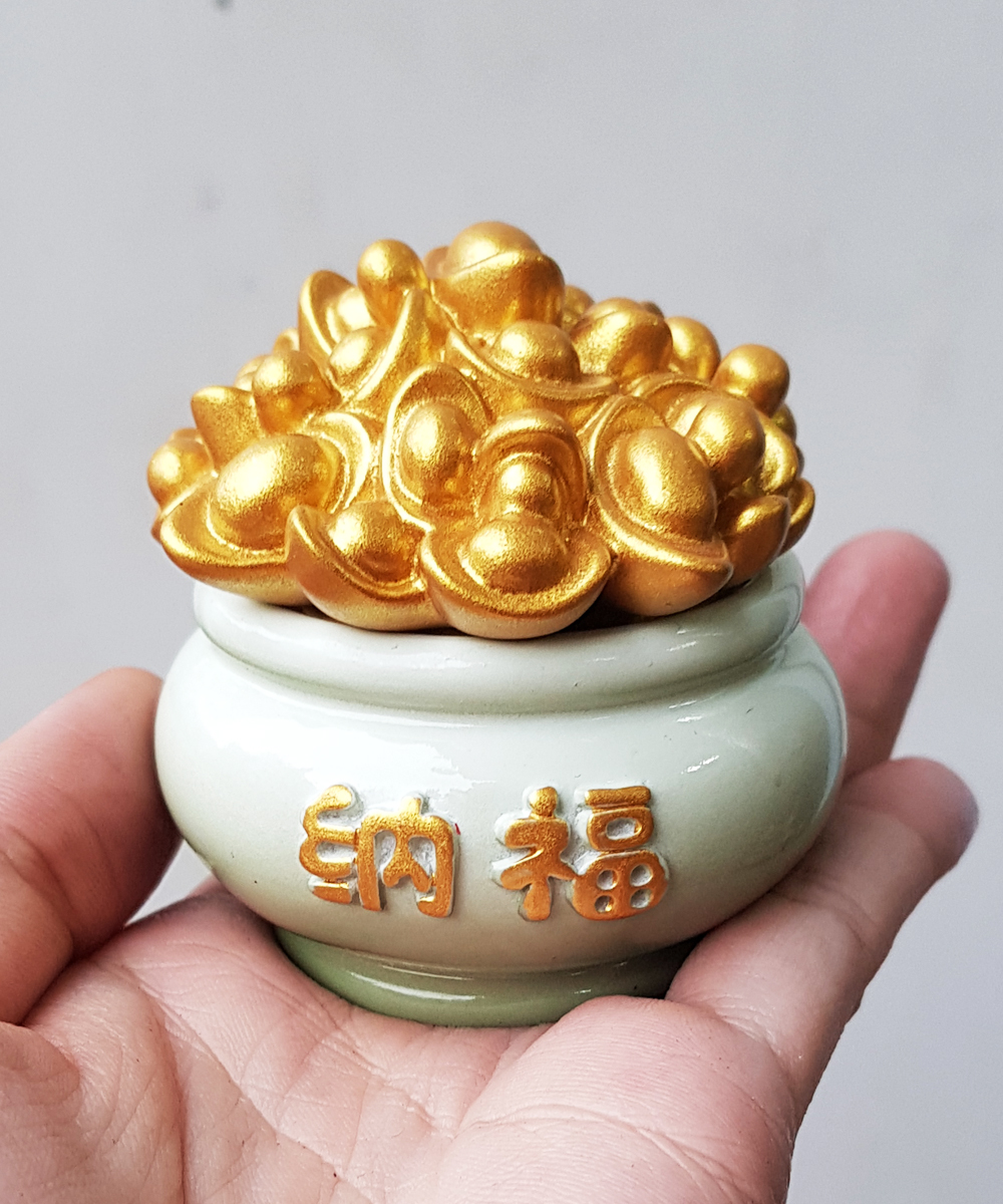 Chậu vàng may mắn nhiều màu